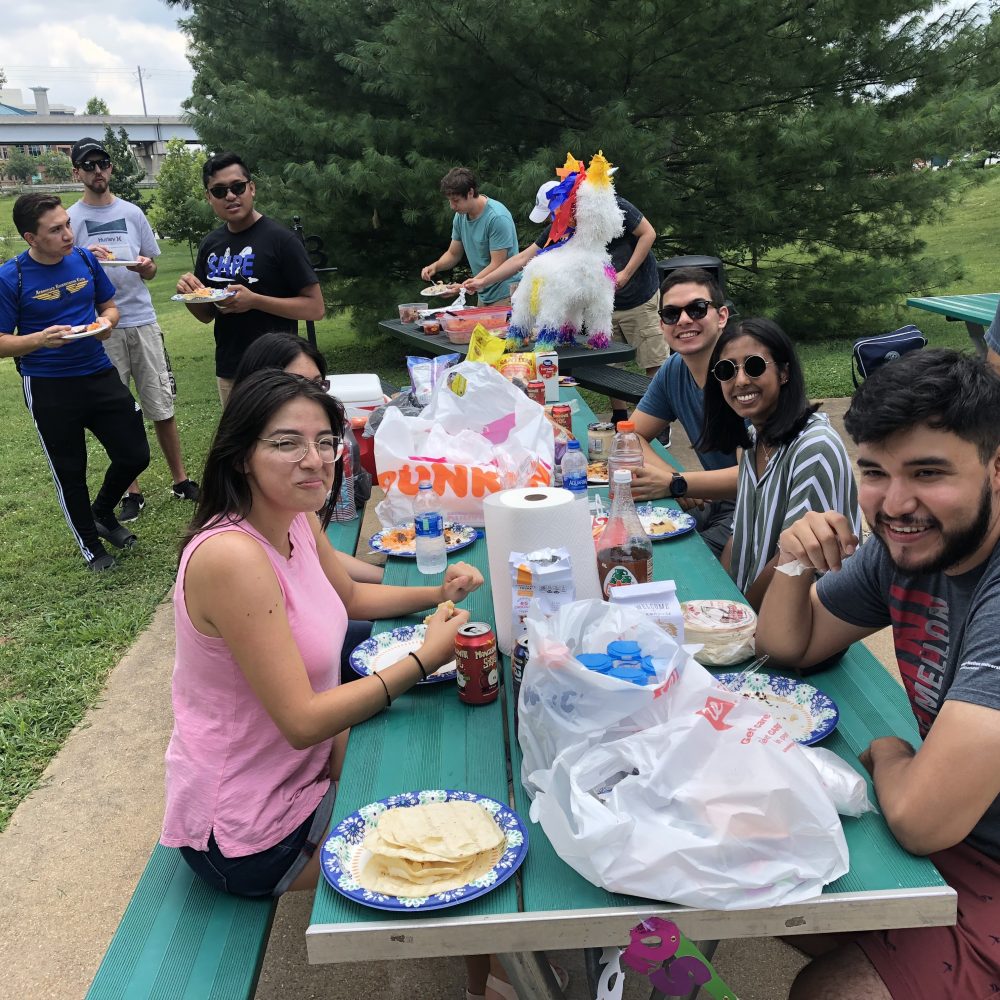 Picnic Social